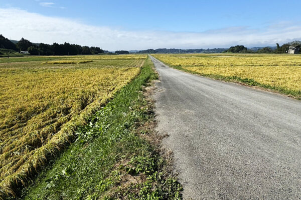 #岩手県#岩手県一関市の無料写真素材