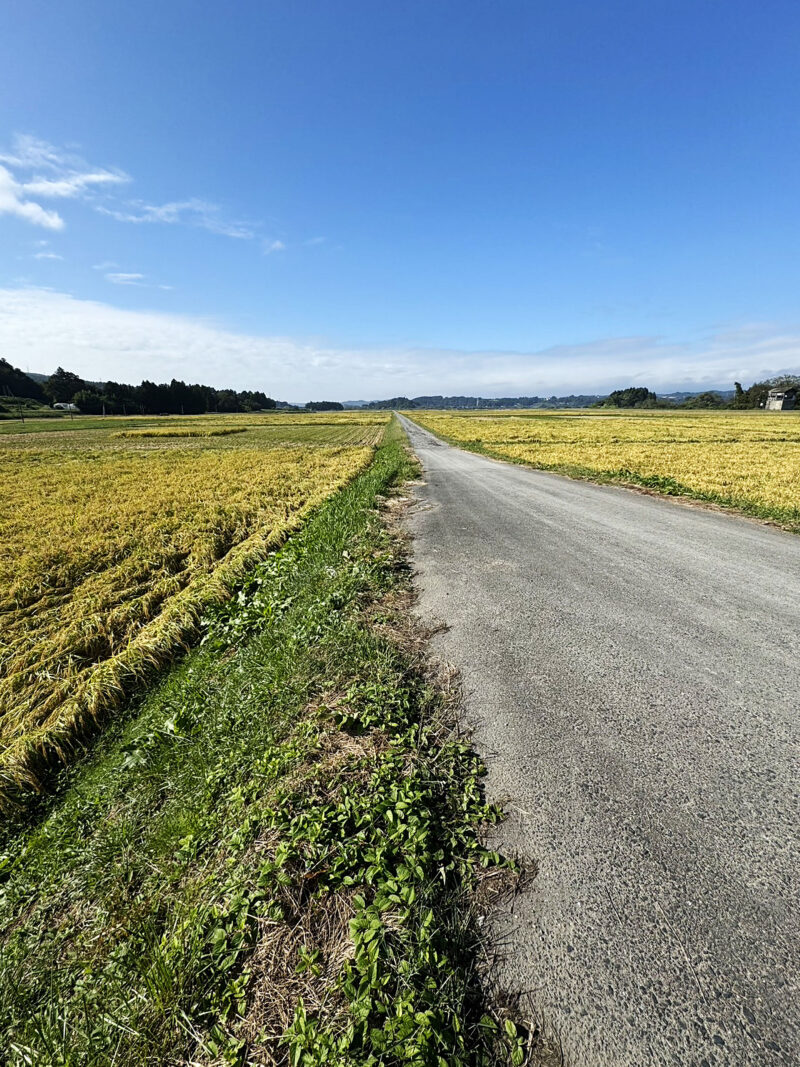 #岩手県,#岩手県一関市,#田畑,#路地の無料写真素材