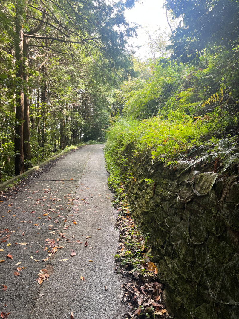 #三重県#三重県桑名市#自然の無料写真素材