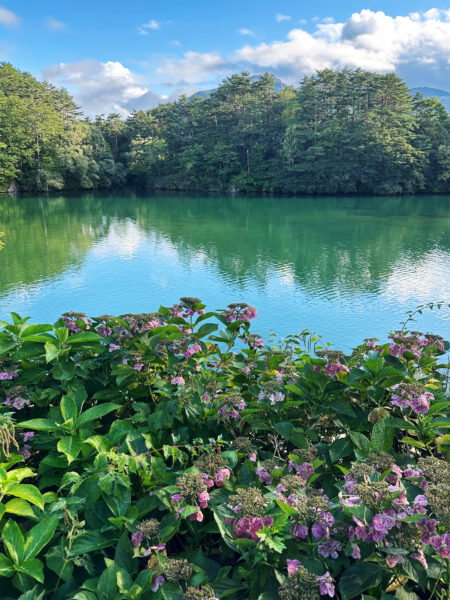 #福島県#耶麻郡北塩原村#自然の無料写真素材