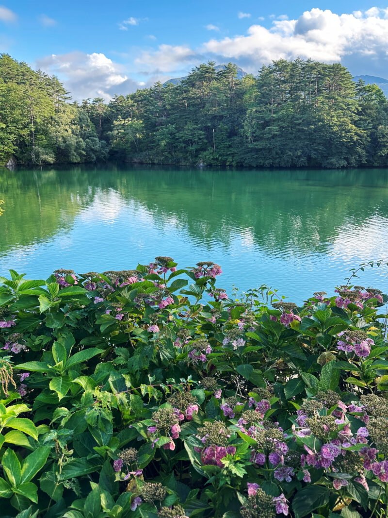 #福島県#耶麻郡北塩原村#自然が関連付けられた記事