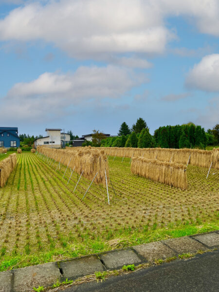 #田畑#青森県#青森県弘前市の無料写真素材