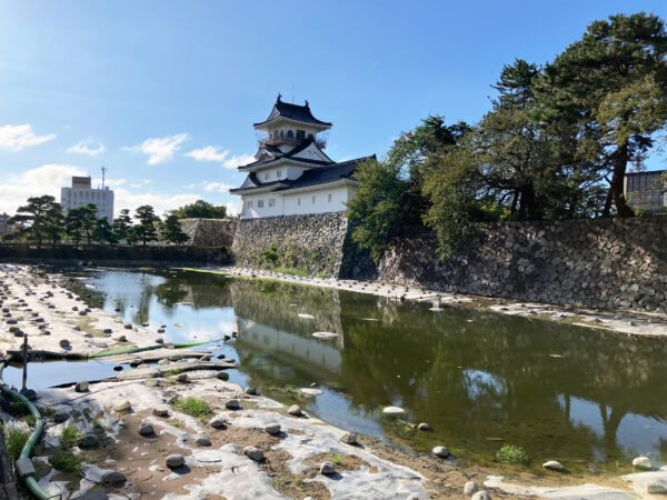 #城#富山城#富山県#富山県富山市の無料写真素材