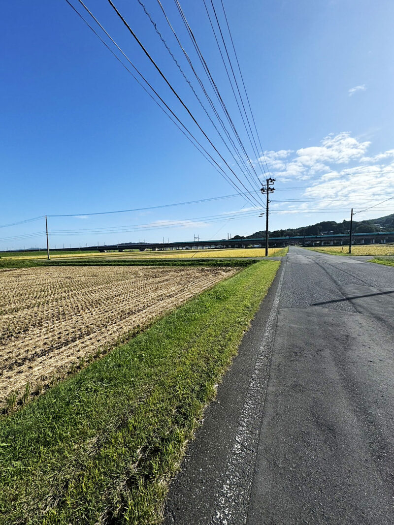 #岩手県,#岩手県一関市,#田畑,#路地の無料写真素材