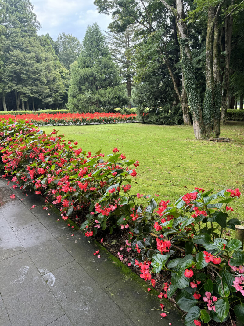 #栃木県,#栃木県那須塩原市,#自然,#花,#草木の無料写真素材