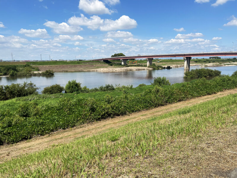 #川#愛知県#愛知県安城市#橋#河川敷の無料写真素材