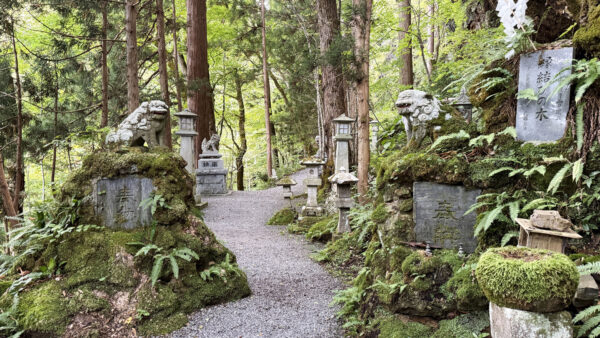 #岩手県#岩手県八幡平市#自然の無料写真素材