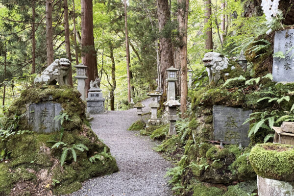 #岩手県#岩手県八幡平市#自然の無料写真素材