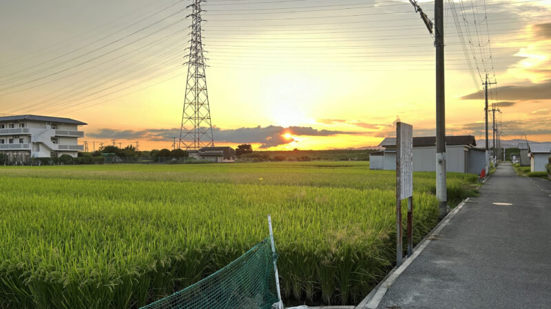 #夕焼け,#大阪府,#大阪府枚方市,#田畑の無料写真素材