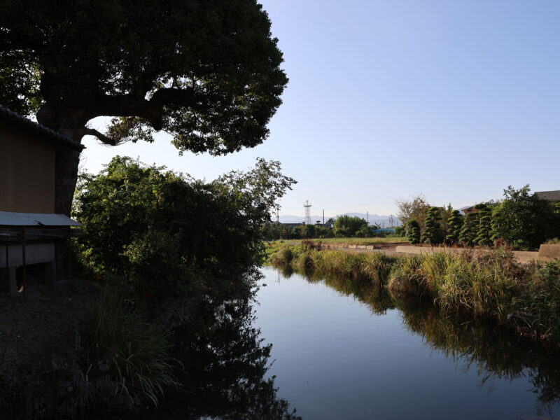 #川#徳島県#徳島県吉野川市の無料写真素材