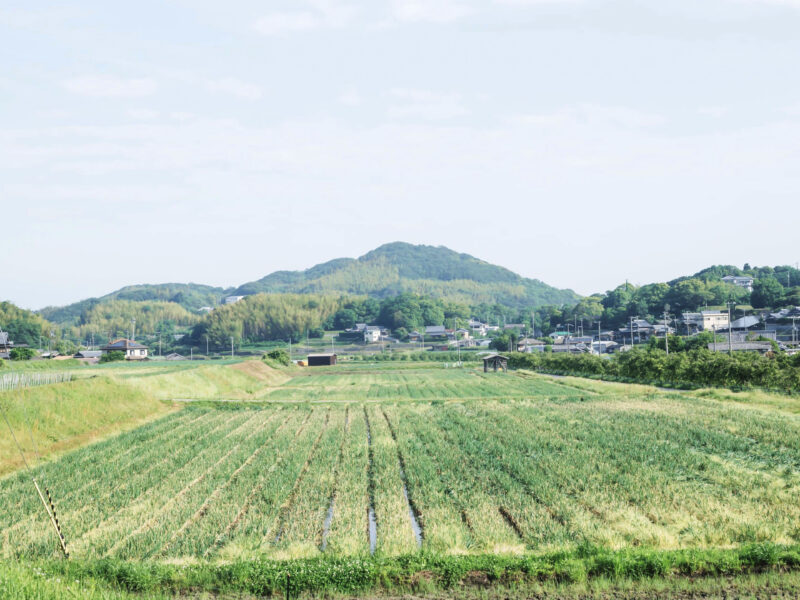 #兵庫県,#兵庫県淡路市,#田畑,#自然の無料写真素材