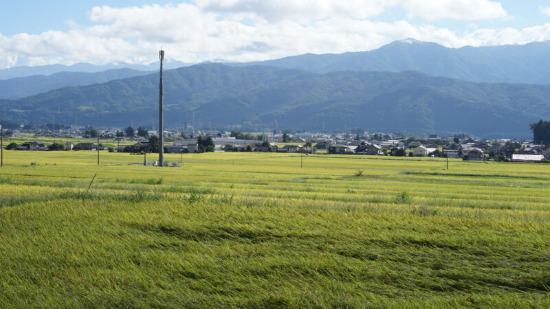 #田畑#自然#長野県#長野県宮田村の無料写真素材