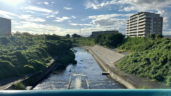 #大阪府#大阪府枚方市#川の無料写真素材