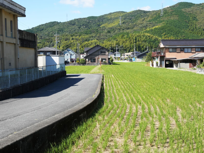 #山#山口県#山口県周南市#自然の無料写真素材