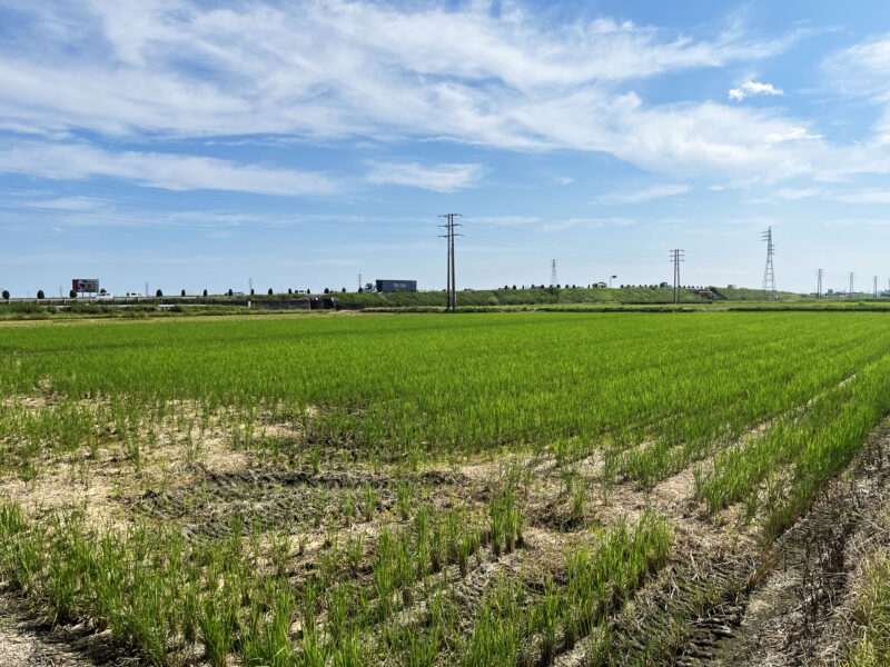 #三重県,#三重県鈴鹿市,#田畑の無料写真素材