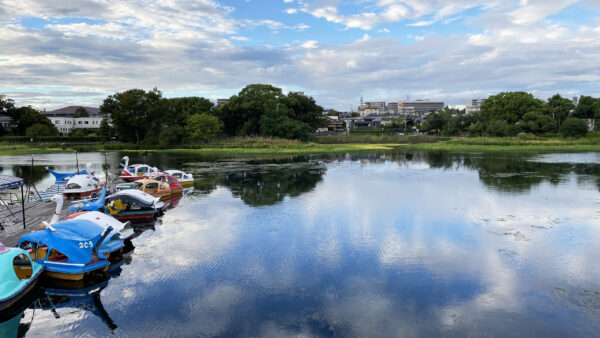 #池#熊本県#熊本県熊本市の無料写真素材