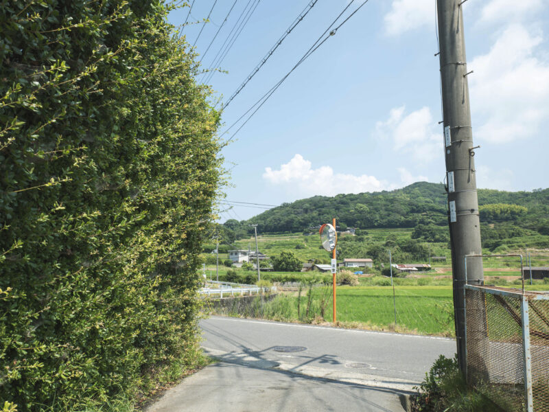 #兵庫県,#兵庫県淡路市,#自然の無料写真素材