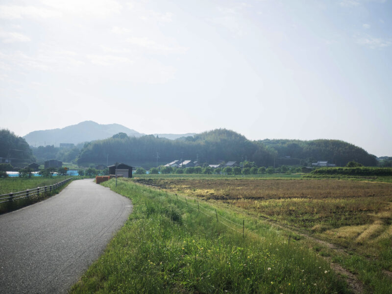 #兵庫県,#兵庫県淡路市,#自然の無料写真素材