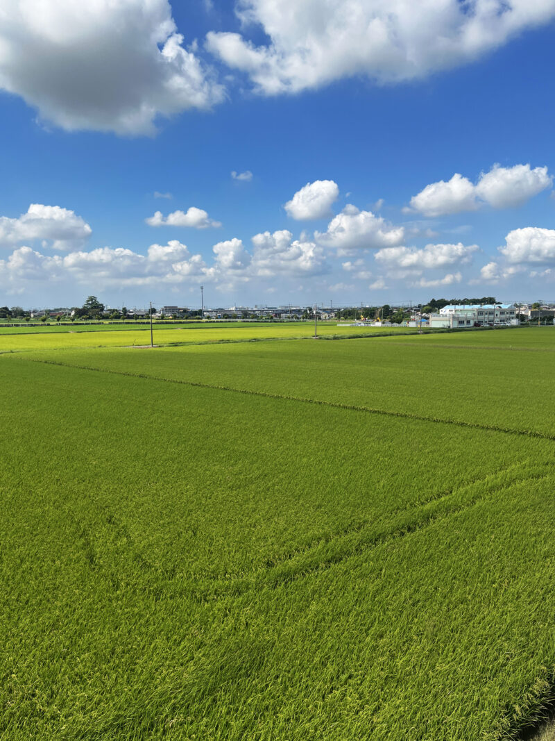 #愛知県#愛知県安城市#田畑の無料写真素材