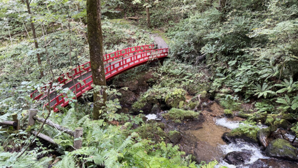 #岩手県#岩手県八幡平市#川#自然の無料写真素材