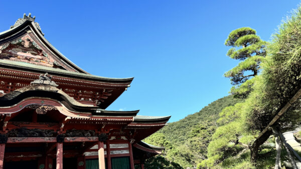 #善光寺#寺#山梨県#山梨県甲府市の無料写真素材