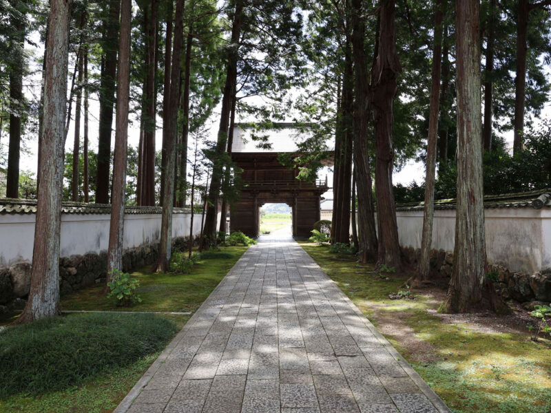 #国分寺,#寺,#高知県,#高知県南国市の無料写真素材