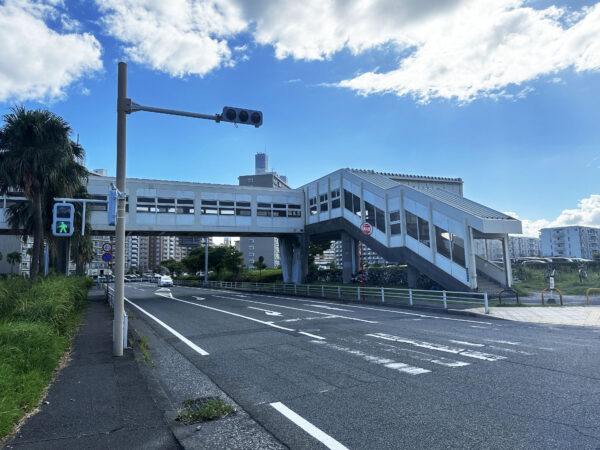 #道路#鹿児島県#鹿児島県鹿児島市の無料写真素材