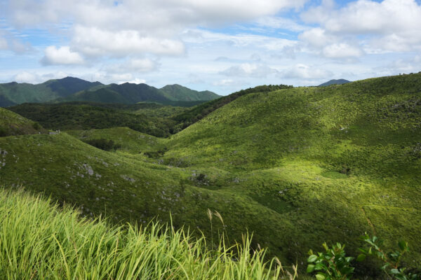 #山#山口県#山口県美祢市…の無料写真素材