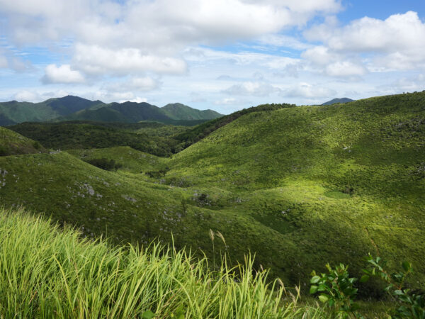 #山#山口県#山口県美祢市#自然の無料写真素材