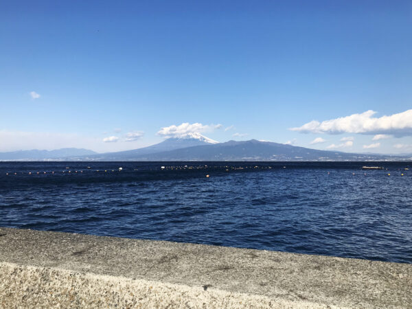 #富士山#山#青い空青い海#静岡県#静岡県沼津市の無料写真素材