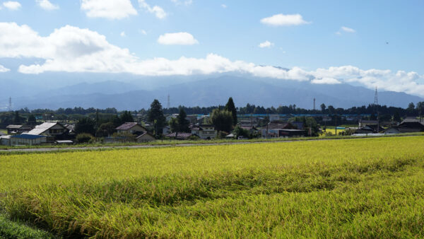 #田畑#自然#長野県#長野県宮田村の無料写真素材