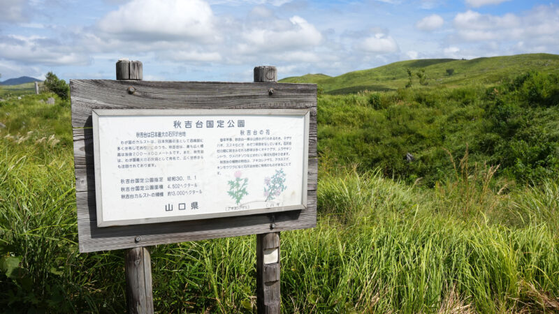 #公園#山#山口県#山口県美祢市#秋吉台国定公園#自然の無料写真素材